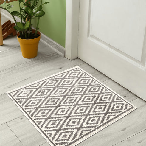 Light Aura Entryway Indoor Front Door Rugs Washable Indoor Doormat for Entrance with Non Slip Rubber Backing