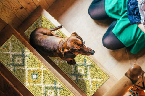 Green Aura - Deep Pile Shag Carpet Stair Treads with Double Sided Tape